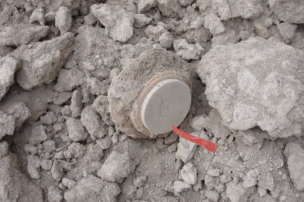 Обнаруженные в Курортном районе 1 сентября боеприпасы времен ВОВ вывезены сегодня