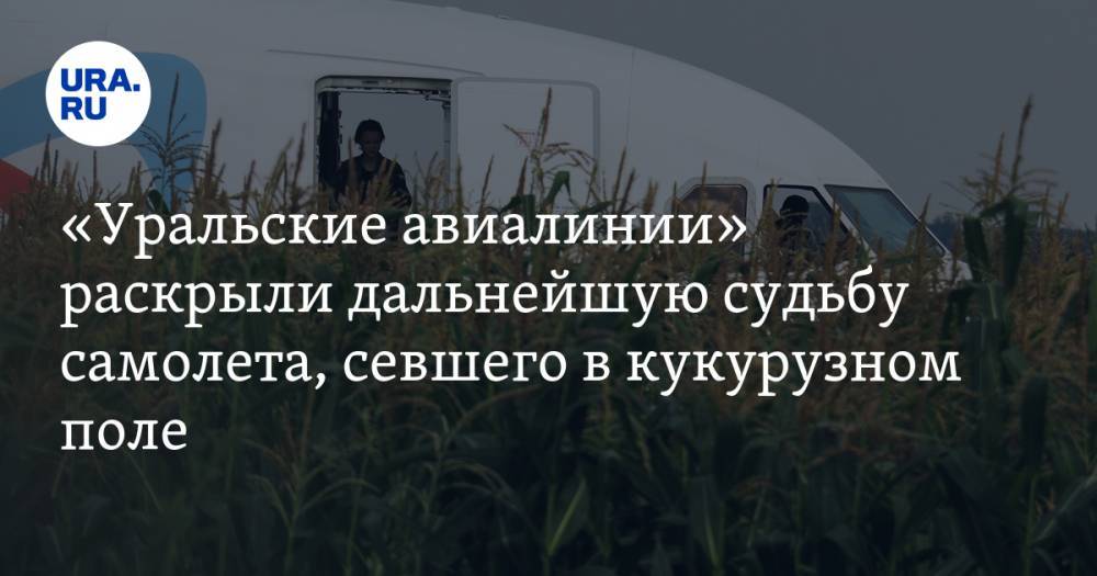 «Уральские авиалинии» раскрыли дальнейшую судьбу самолета, севшего в кукурузном поле