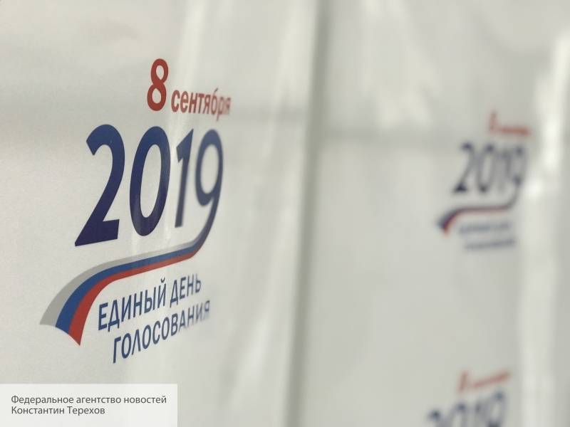 Эксперт рассказала, как будет организована работа наблюдателей на выборах в Петербурге