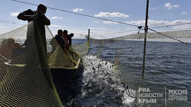 "Наловили" на уголовное дело: пограничники против незаконной рыбалки