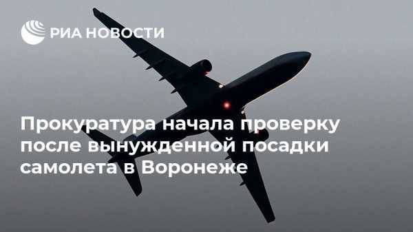 Прокуратура начала проверку после вынужденной посадки самолета в Воронеже