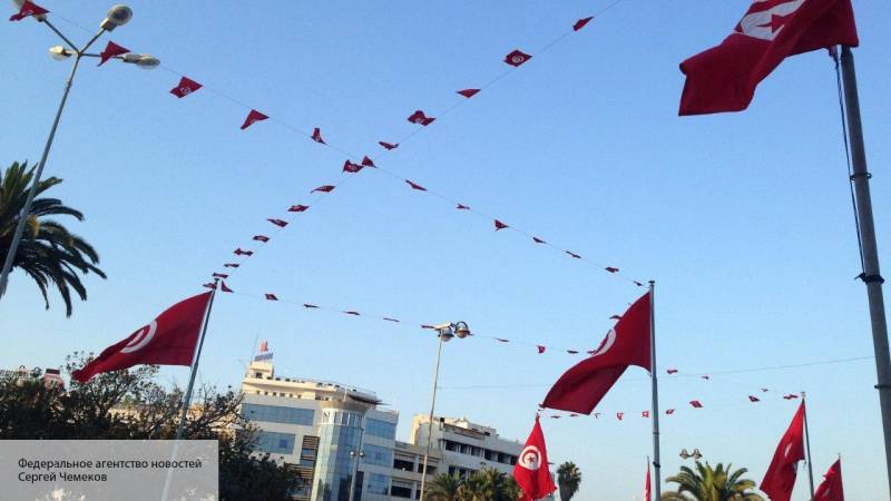 Досрочные выборы не избавят Тунис от спровоцированного Западом кризиса – эксперт