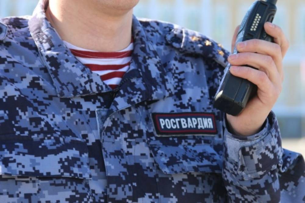В День российской гвардии на Дворцовой площади покажут технику и вооружение ЗВО