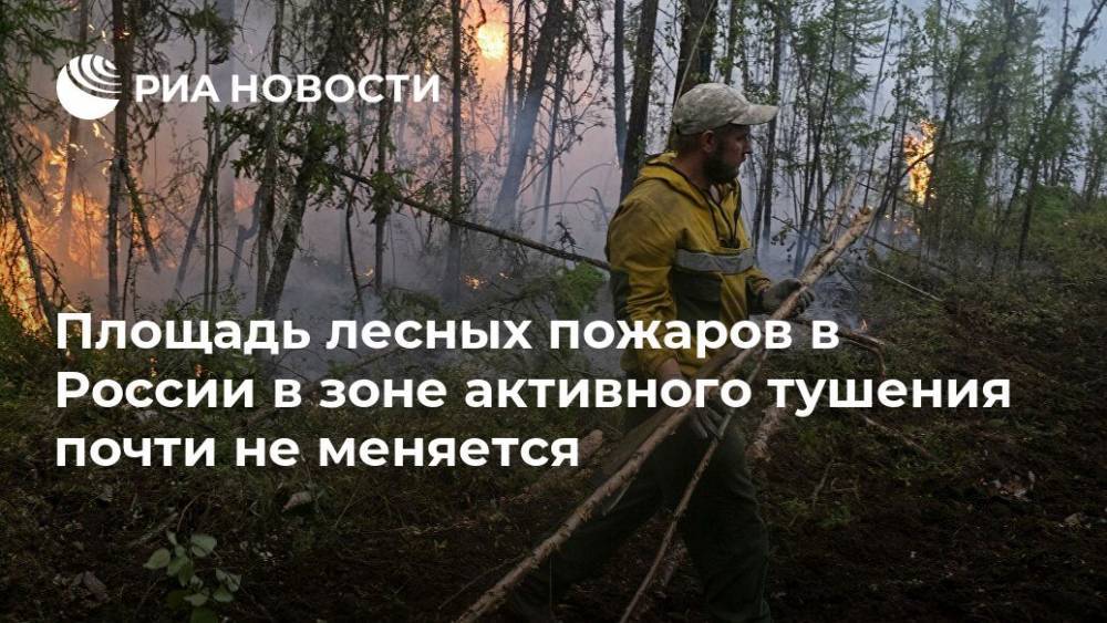 Площадь лесных пожаров в России в зоне активного тушения почти не меняется