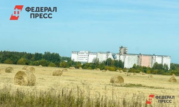 В России начал гнить рекордный урожай