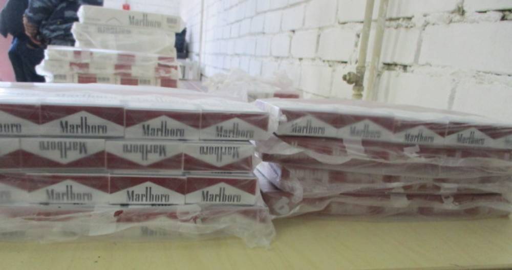 Псковские пограничники пресекли незаконный вывоз более тысячи пачек сигарет