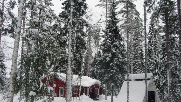 Финляндию признали лучшей страной для путешествий по дикой природе