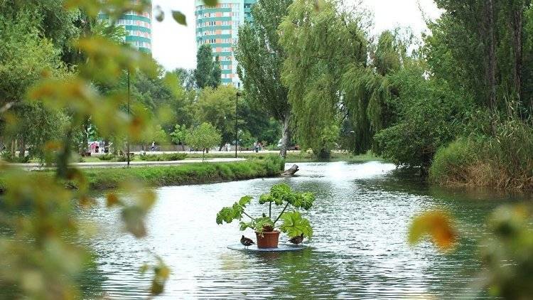 В пруду Гагаринского парка Симферополя обнаружили тело мужчины