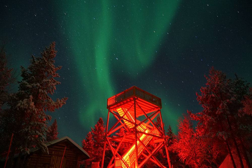 Финляндия стала лучшей страной для путешествий по дикой природе в 2019 году