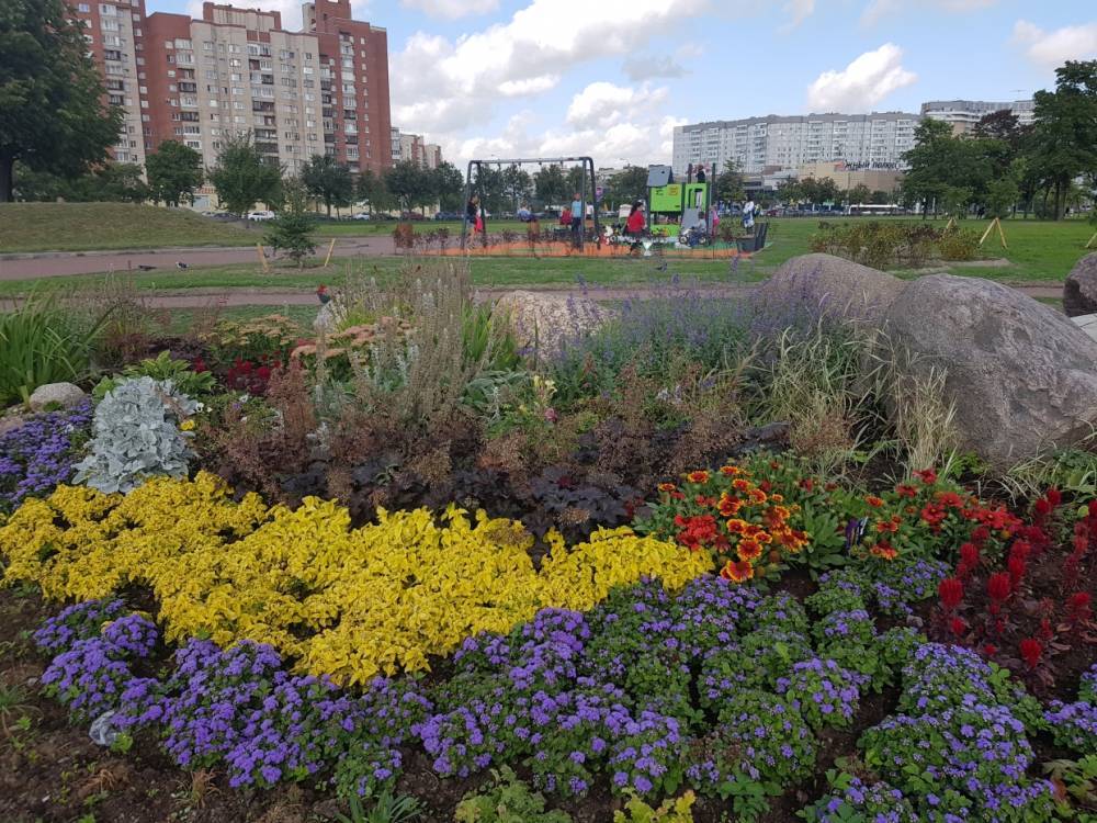 В Петербурге обновили парк Интернационалистов