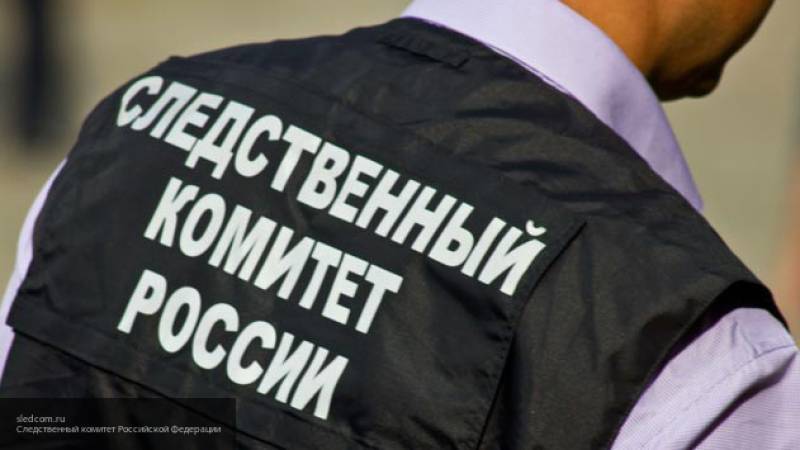 СК РФ заочно предъявил гражданину Украины обвинение в нападении на российское посольство