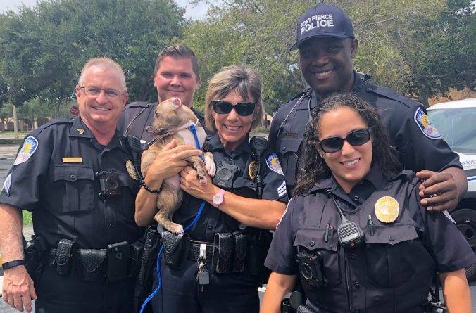 Полицейский из Флориды подарил новый дом щенку, который остался совсем один перед ураганом Дориан