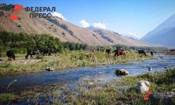 Новый инвестор построит в Алтайском крае отель за 150 млн рублей
