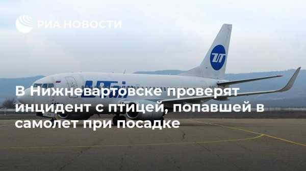 В Нижневартовске проверят инцидент с птицей, попавшей в самолет при посадке