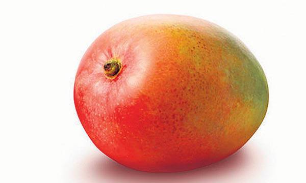 В Израиле начался сезон манго: почему такие высокие цены
