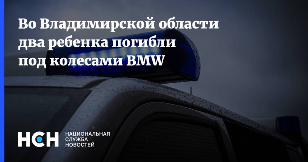 Во Владимирской области два ребенка погибли под колесами BMW
