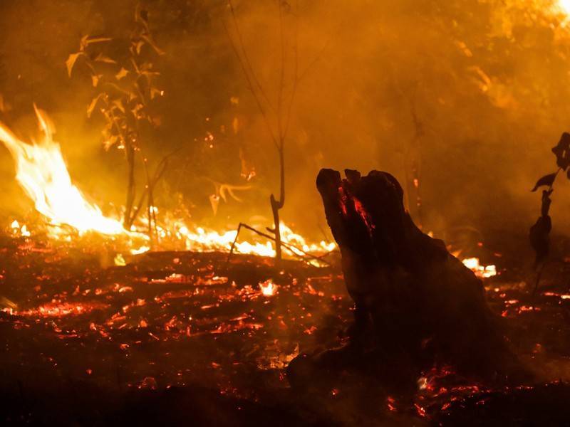Рослесхоз ожидает новую волну лесных пожаров осенью
