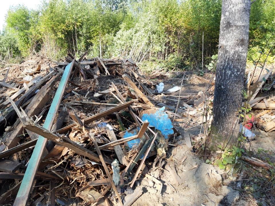 Депутаты Заксобрания проконтролируют ситуацию с вывозом строительных отходов в лесной массив в Чалне