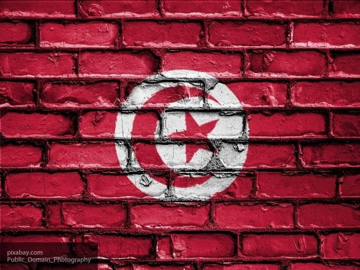 Эксперт считает, что досрочные выборы не помогут Тунису избежать кризиса