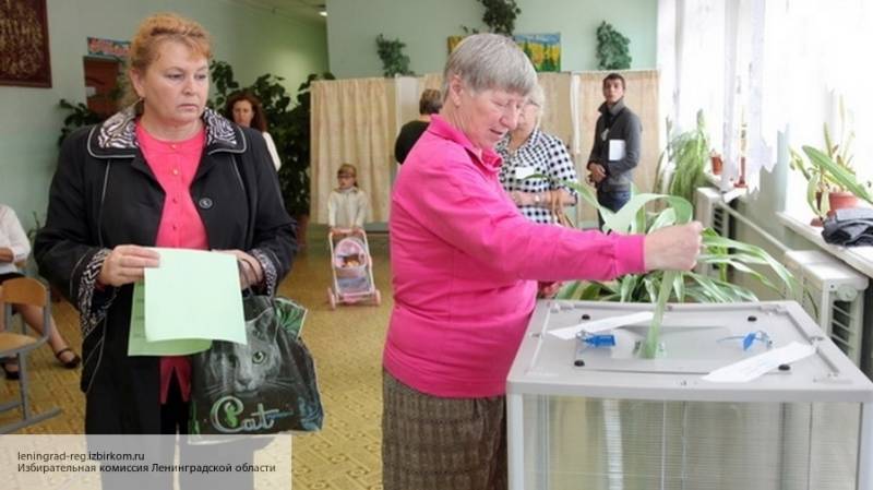 За ходом проведения выборов в Санкт-Петербурге будут следить два иностранных наблюдателя