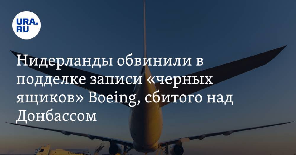 Нидерланды обвинили в подделке записи «черных ящиков» Boeing, сбитого над Донбассом