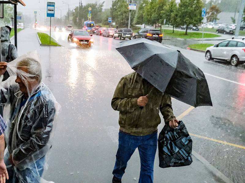 Дожди и грозы ожидаются в Центральной России в ближайшие два дня