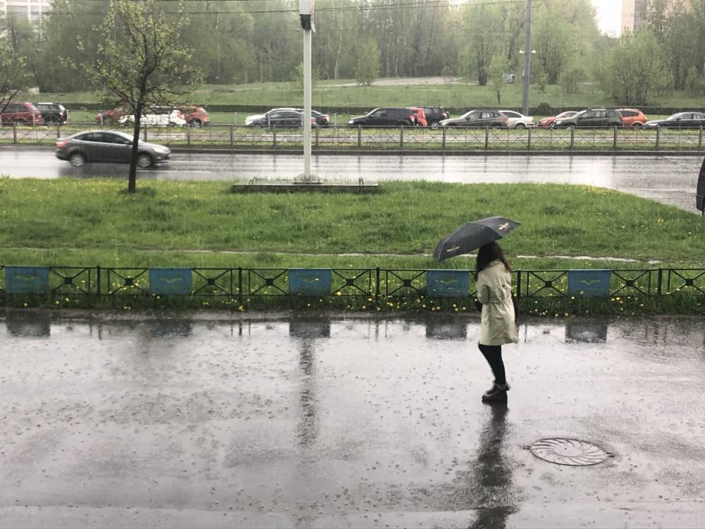 В Ленобласти 6 сентября останется тепло, но с дождями и грозами