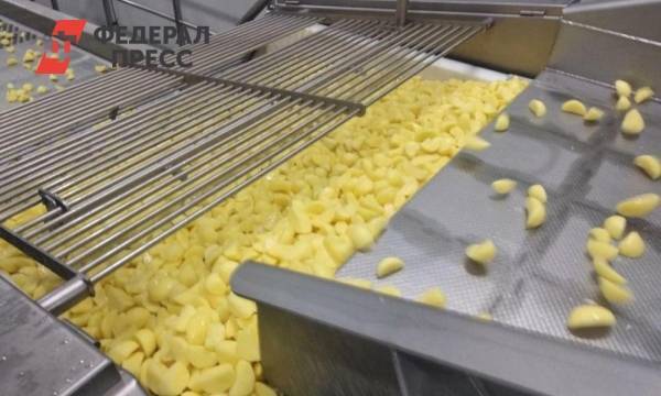 В Тюменской области запустили завод по переработке картофеля