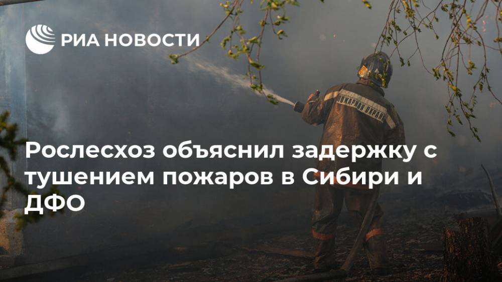 Рослесхоз объяснил задержку с тушением пожаров в Сибири и ДФО