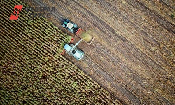 Южноуральский фермер пытался незаконно получить грант на развитие хозяйства