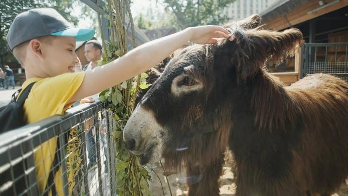 В Московском зоопарке после ремонта открылась детская территория