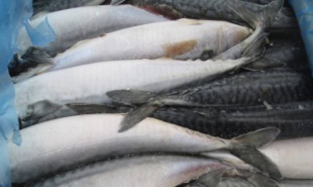 Гражданин Польши пытался вывезти из России 150 килограмм незадекларированной рыбы
