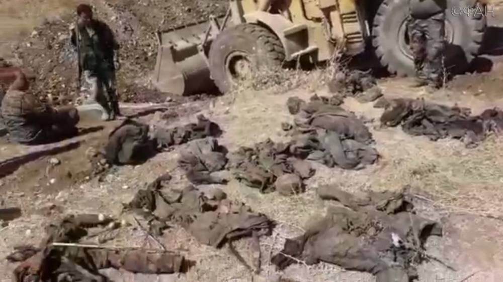 Братскую могилу жертв террористов вскрыли в Хаме войска Сирии — видео ФАН