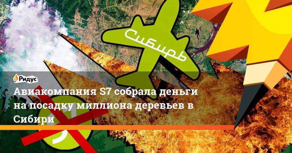 Авиакомпания S7 собрала деньги на посадку миллиона деревьев в Сибири