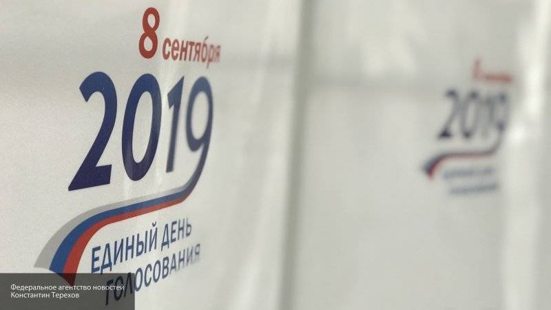 Губернаторские выборы в Петербурге пройдут под наблюдением иностранных аналитиков