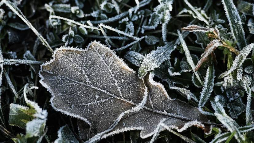 Синоптики предупредили о заморозках в ряде регионов России