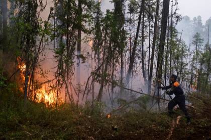 Россиян предупредили о росте лесных пожаров