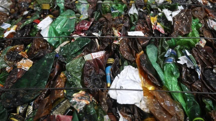 Пластиковую упаковку хотят запретить в РФ из-за нового исследования