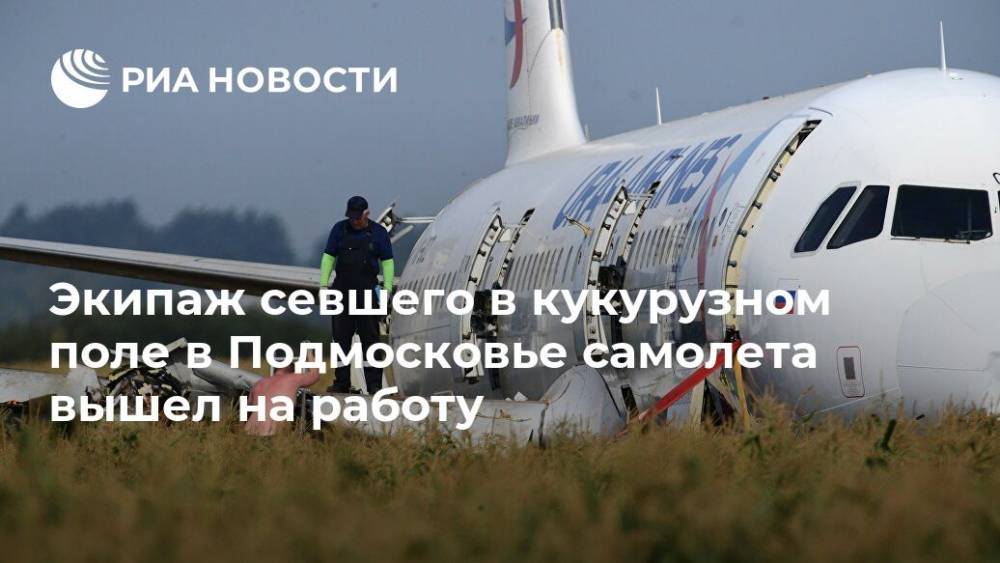 Экипаж севшего в кукурузном поле в Подмосковье самолета вышел на работу