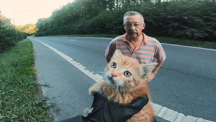 Байкер спас брошенного посреди дороги котенка