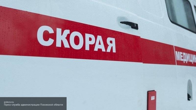 Водитель BMW насмерть сбил двух детей во Владимирской области