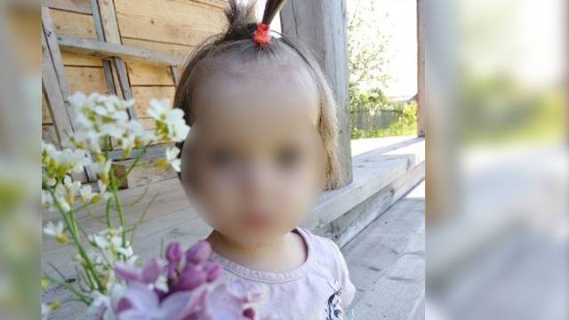 Дело об убийстве открыто после пропажи 2-летней девочки под Вологдой