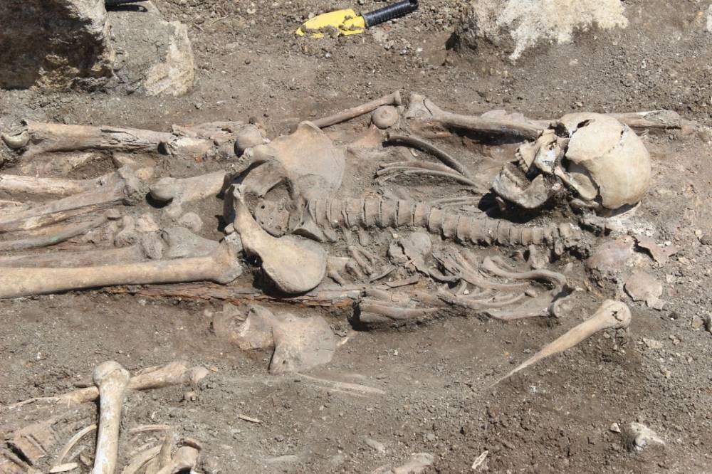 Местный житель обнаружил человеческий скелет за кладбищем в поселке Тесово-4