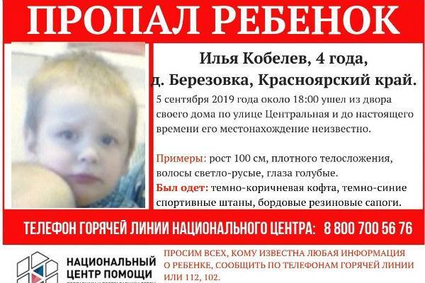 Под Красноярском сотни людей ищут пропавшего четырехлетнего мальчика