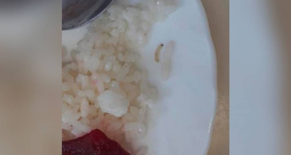 В школьной столовой в Липецкой области нашли червей в рисе