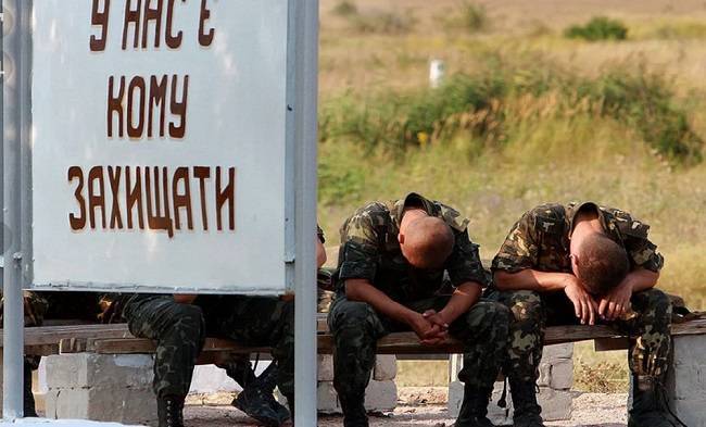 Экс-депутат Рады: Украинская армия превратилась в банду разбойников