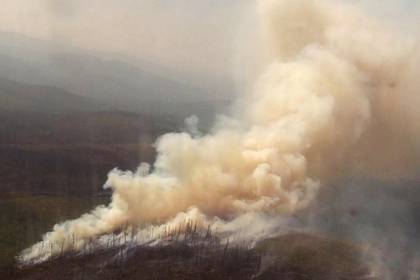 Названа причина задержки тушения лесных пожаров в России