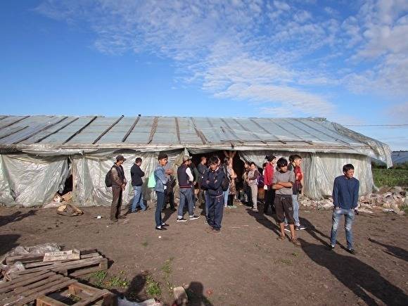 В тепличном хозяйстве в Челябинской области обнаружены нелегальные мигранты из Китая