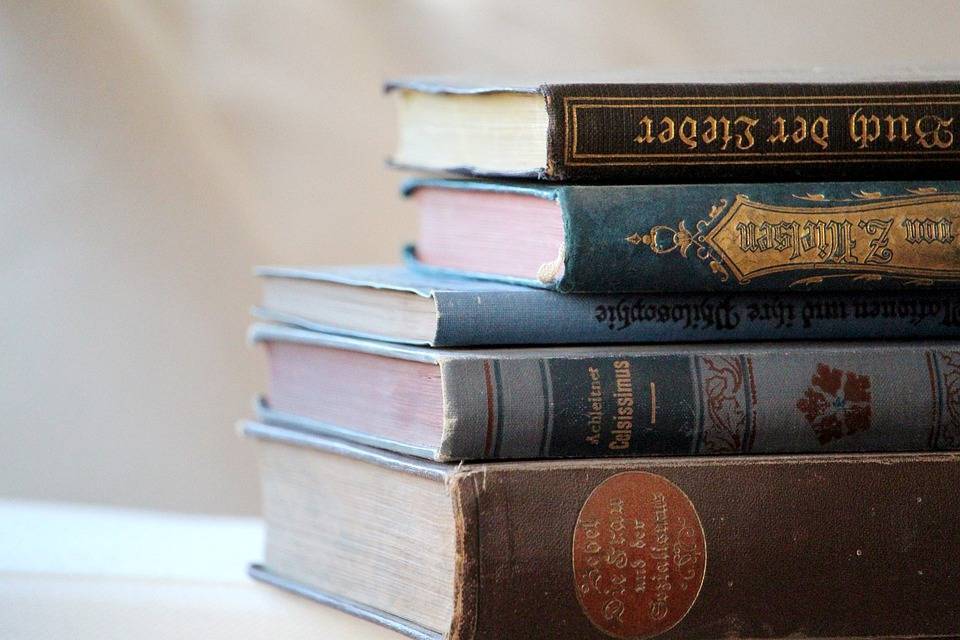 Житель Санкт-Петербурга прочитал 776 книг с начала года