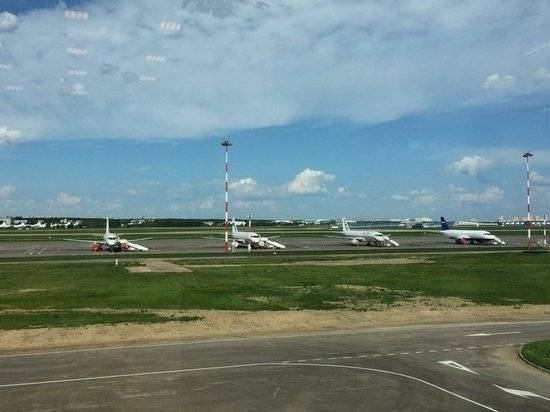 После инцидента с А321 аэропорт обезопасят от птиц «зеркальными шарами»